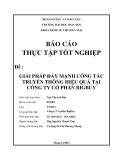 Báo cáo thực tập tốt nghiệp: Giải pháp đẩy mạnh công tác truyền thông hiệu quả tại công ty Cổ phần Bigbuy