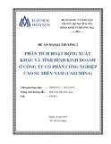 Đề án ngoại thương: Phân tích hoạt động xuất khẩu và tình hình kinh doanh ở Công ty cổ phần công nghiệp cao su Miền Nam (Casumina)