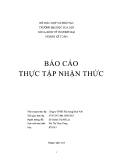 Báo cáo thực tập nhận thức: Công ty TNHH Xây dựng Bách Việt