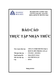 Báo cáo thực tập nhận thức: Công ty TNHH thương mại và dịch vụ siêu thị BIG C An Lạc