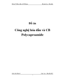 Đồ án:  Công nghệ hóa dầu và chế biến Polycaproamide