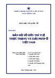 Tiểu luận: Bảo hộ sở hữu trí tuệ, thực trạng và giải pháp ở Việt Nam