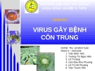 Tiểu luận: Virus gây bệnh côn trùng