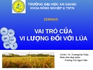 Tiểu luận: Vai trò của vi lượng đối với lúa