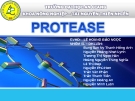 Đề tài: Protease