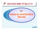 Bài giảng Địa lý 12 bài 39: Vấn đề khai thác lãnh thổ theo chiều sâu ở Đông Nam Bộ