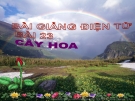 Bài giảng TNXH 1 bài 23: Cây hoa