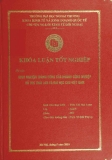 Khóa luận tốt nghiệp: Kinh nghiệm thành công của ngành công nghiệp hỗ trợ Thái Lan và bài họ kinh nghiệm cho Việt Nam