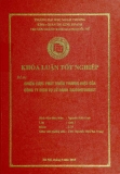 Khóa luận tốt nghiệp: Chiến lược phát triển thương hiệu của công ty dịch vụ lữ hành SaiGon tourist