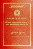 Khóa luận tốt nghiệp: Môi trường kinh doanh của Hoa Kỳ: Cơ hội và thách thức với doanh nghiệp Việt Nam