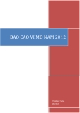 Báo cáo vĩ mô năm 2012