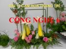 Bài giảng Công nghệ 6 bài 13: Cắm hoa trang trí