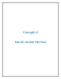 Văn mẫu lớp 9: "Cảm nghĩ về bản sắc văn hóa Việt Nam"