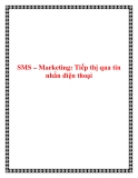 SMS – Marketing: Tiếp thị qua tin nhắn điện thoại