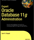 Expert oracle database 11g administration