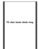 Tổ chức hành chính công