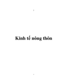 Kinh tế nông thôn