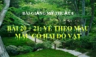 Bài giảng Mỹ Thuật 6 bài 20: Vẽ mẫu có 2 đồ vật