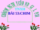 Slide bài Chim - Tự Nhiên Xã Hội 3 - GV.H.T.Minh