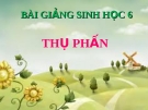 Bài giảng Sinh học 6 bài 30: Thụ phấn