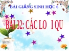 Bài giảng Sinh học 6 bài 32: Các loại quả