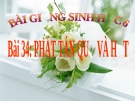 Bài giảng Sinh học 6 bài 34: Phát tán quả và hạt