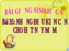 Bài giảng Sinh học 6 bài 35: Những điều kiện cần cho hạt nảy mầm