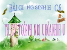 Bài giảng Sinh học 6 bài 46: Thực vật góp phần điều hòa không khí