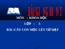 Slide bài Cây con mọc lên từ hạt - Khoa học 5 - GV.H.T.Minh