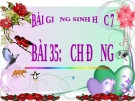 Bài giảng Sinh học 7 bài 35: Ếch đồng