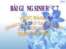 Bài giảng Sinh học 7 bài 36: Thực hành quan sát cấu tạo trong của ếch đồng trên mẫu mổ