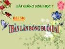 Bài giảng Sinh học 7 bài 38: Thằn lằn bóng đuôi dài