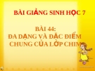 Bài giảng Sinh học 7 bài 44: Đa dạng và đặc điểm chung của lớp chim