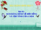 Bài giảng Sinh học 7 bài 45: Thực hành xem băng hình về đời sống và tập tính của chim