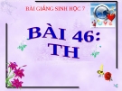 Bài giảng Sinh học 7 bài 46: Thỏ