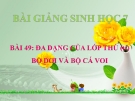 Bài giảng Sinh học 7 bài 49: Đa dạng của lớp thú (tiếp theo) bộ dơi và bộ cá voi