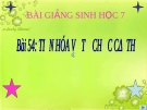 Bài giảng Sinh học 7 bài 54: Tiến hóa về tổ chức cơ thể