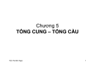 Bài giảng Kinh tế vĩ mô ( Trần Thị Minh Ngọc)  - Chương 5 Tổng cung - Tổng cầu