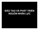 Bài giảng Đào tạo và phát triển nguồn nhân lực - Yêu cầu bắt buộc của tổ chức