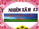 Slide bài Hoạt động tuần hoàn - Tự Nhiên Xã Hội 3 - GV.H.T.Minh