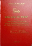 Khóa luận tốt nghiệp: Sử dụng các công cụ tài chính phái sinh trong quản lý rủi ro của các doanh nghiệp