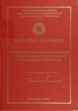 Khóa luận tốt nghiệp: Phân tích ảnh hưởng của cuộc khủng hoảng tài chính thế giới tới hoạt động kinh doanh du lịch quớc tế của Việt Nam và một số giải pháp phát triển ngành du lịch