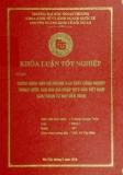 Khóa luận tốt nghiệp: Chính sách bảo hộ ngành sản xuất công nghiệp trong nước sau khi gia nhập WTO của Việt Nam (giai đoạn từ nay đến 2020)