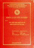 Khóa luận tốt nghiệp: Phát triển công nghiệp phụ trợ nhằm thu hút FDI ở Việt Nam