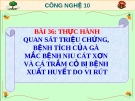 Bài giảng Công nghệ 10 bài 36: Thực hành - Quan sát triệu chứng, bệnh tích của gà bị mắc bệnh Niu cát xơn (Newcastle) và cá trắm cỏ bị bệnh xuất huyết do vi rút