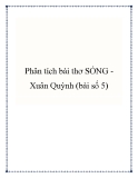 Bài văn mẫu lớp 9: Phân tích bài thơ Sóng Xuân Quỳnh (bài số 5)