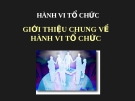 Bài giảng Hành vi tổ chức - Chương 1: Giới thiệu chung về hành vi tổ chức