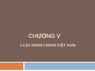 Bài giảng Nhà nước và pháp luật đại cương - Chương 5: Luật hành chính Việt Nam (Lương Thanh Bình)