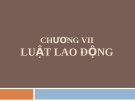 Bài giảng Nhà nước và pháp luật đại cương - Chương 7: Luật lao động (Lương Thanh Bình)