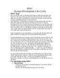 SDLC  (System Development Life-Cycle)